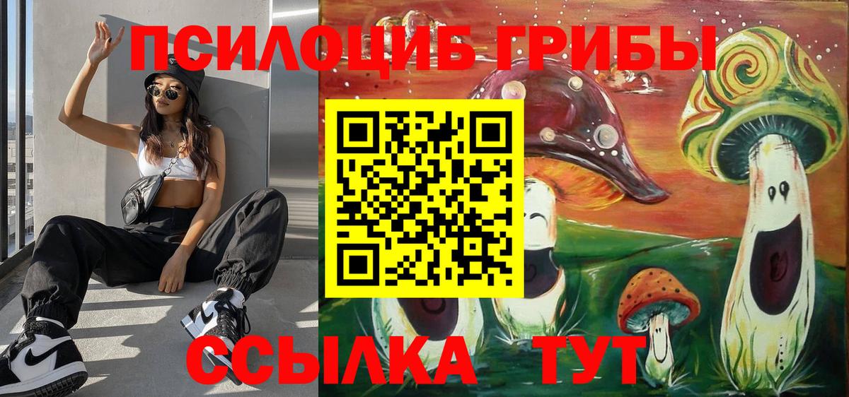 Галлюциногенные грибы мицелий Бердск