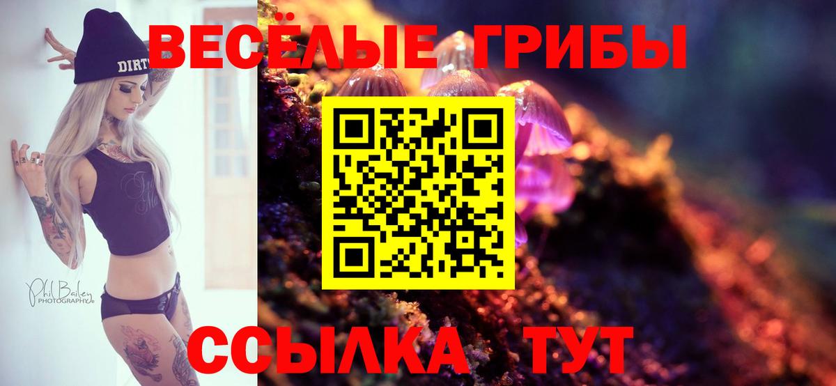 Галлюциногенные грибы MAGIC MUSHROOMS  Вход с VPN  Бердск 